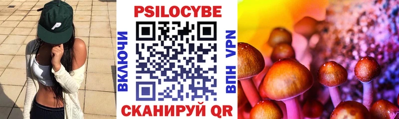 как найти наркотики  shop Telegram  Галлюциногенные грибы мицелий  Миллерово 